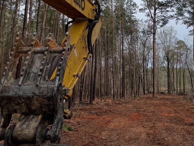 Yellow excavator in forest clearing a dirt path through tall pine trees