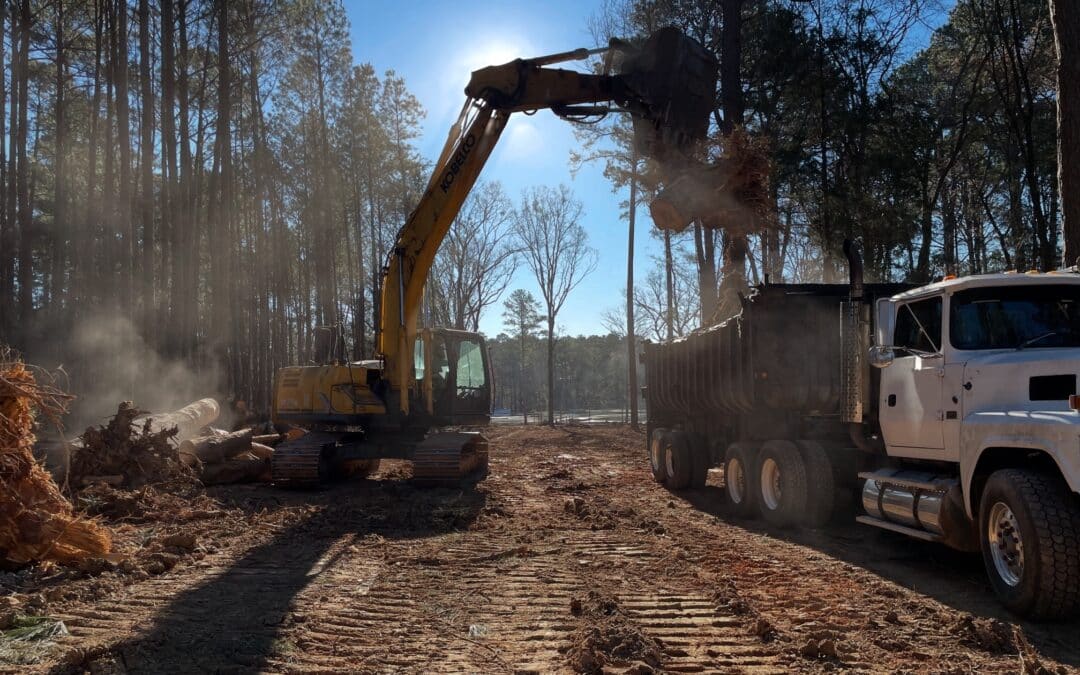 Selective Clearing vs. Forestry Mulching: What South Carolina Builders Wish They Knew Sooner