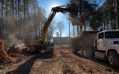 Selective Clearing vs. Forestry Mulching: What South Carolina Builders Wish They Knew Sooner
