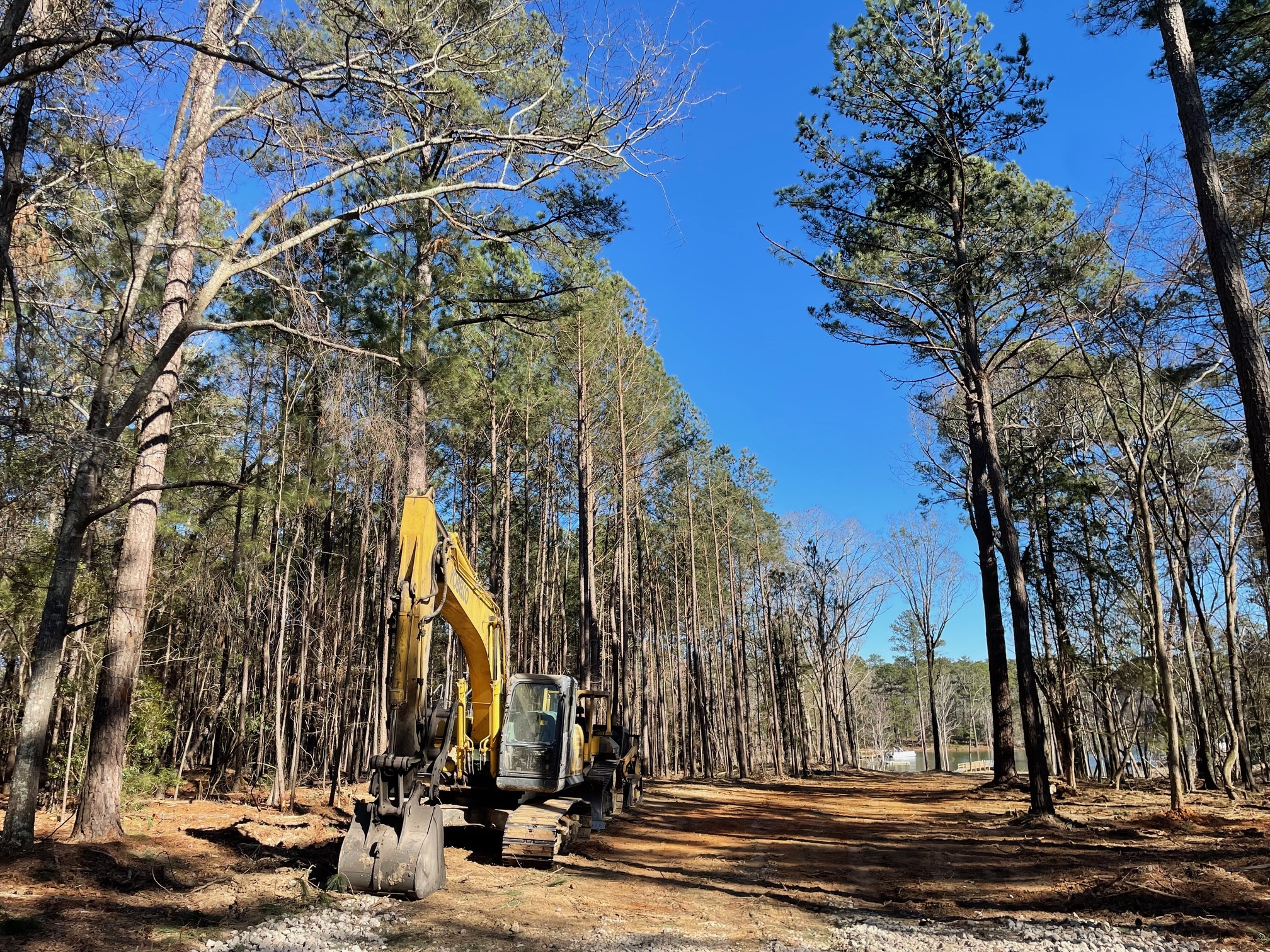 Excavator loading tree debris into dump truck in active logging area
