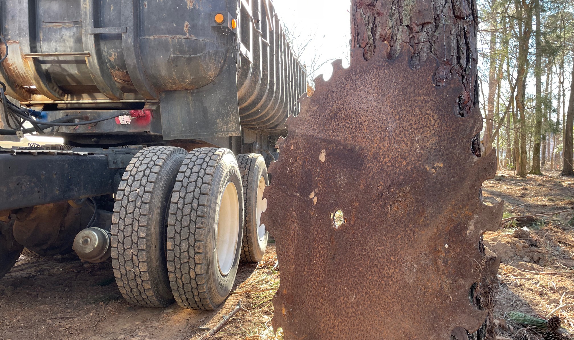 Volvo SD45B soil compactor parked on red clay with a pine tree line in the background