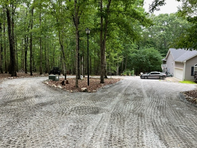 Yellow excavator in forest clearing a dirt path through tall pine trees