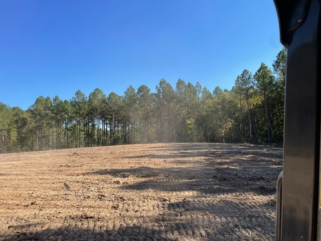 Bulldozer and compact excavator parked on a cleared forest lot under blue sky
