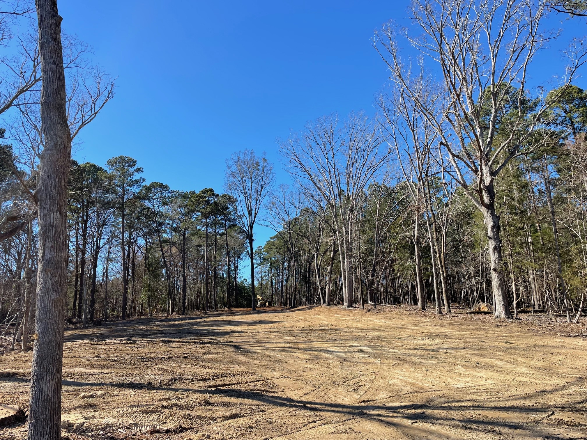 Excavator at County Line Land Management worksite.